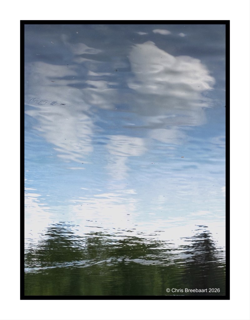 Reflection of clouds and trees on water, creating a serene and abstract visual effect.