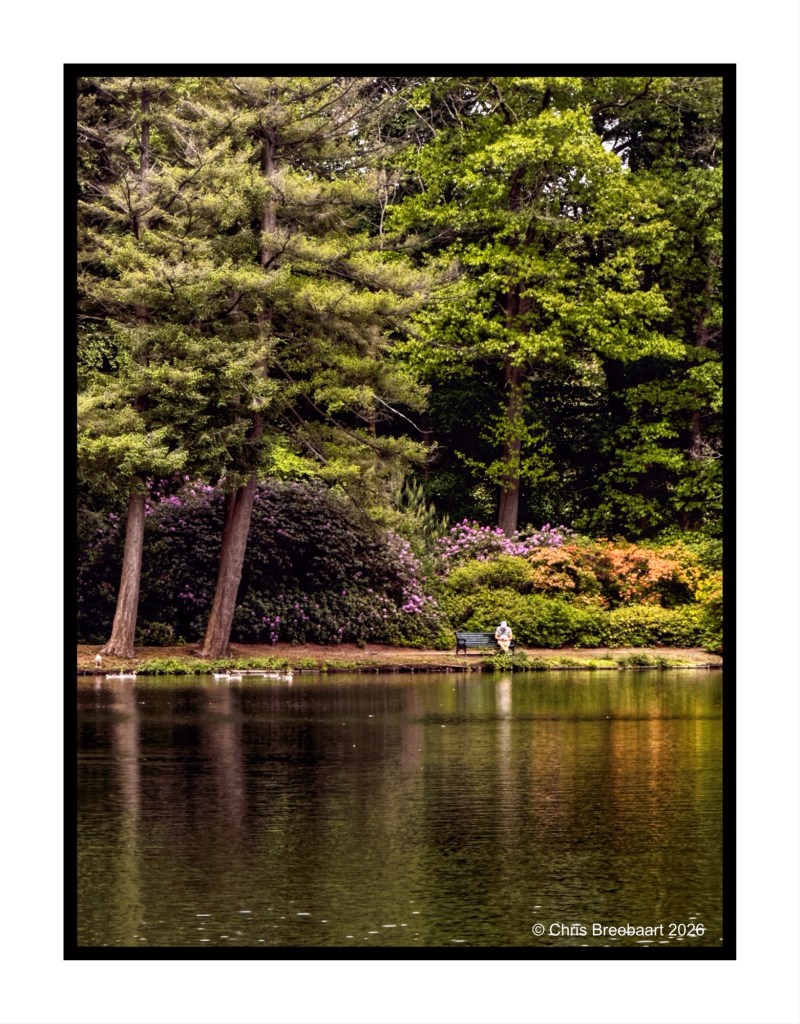 Serene park scene featuring a calm pond surrounded by lush green trees and colorful flowering shrubs, with a person sitting on a bench by the water's edge.