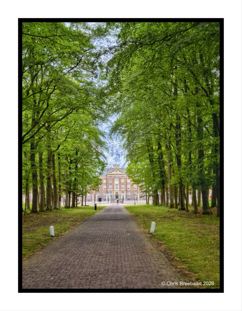 A tree-lined path leading to a building in the distance, framed by vibrant green leaves and a blue sky.