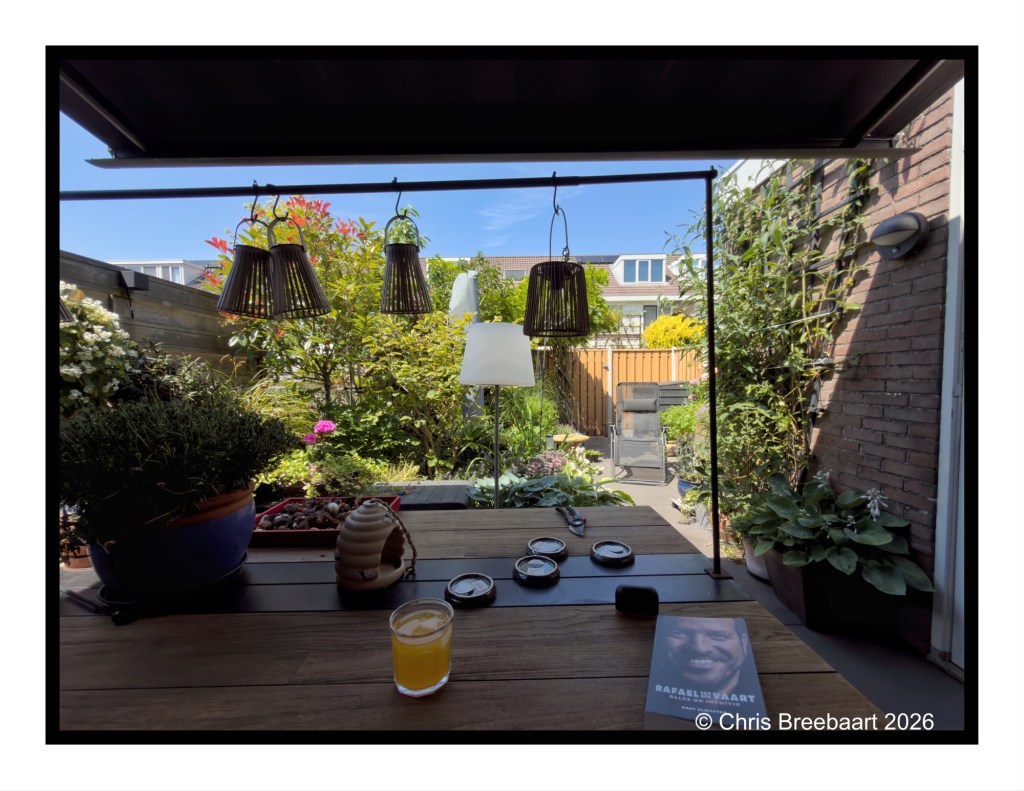 A view from a wooden table overlooking a vibrant garden with plants, flowers, and outdoor furniture, featuring hanging lanterns and a glass of orange juice.