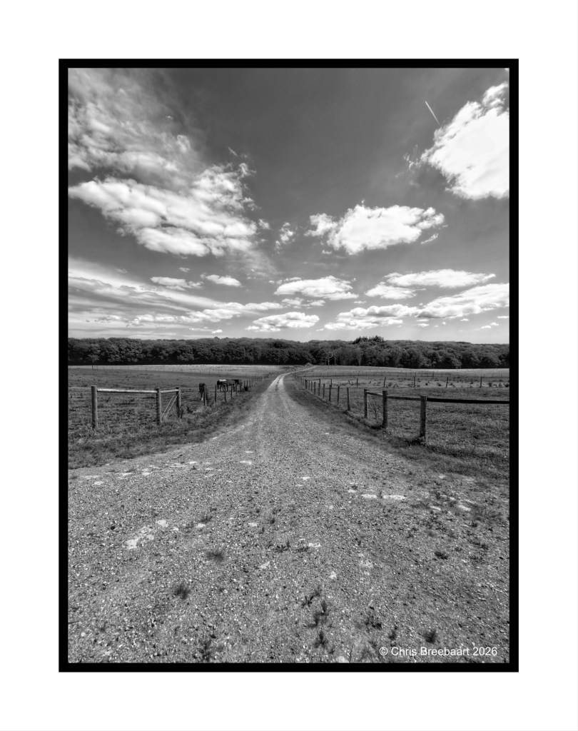 A gravel road leading through a rural landscape, framed by wooden fences and dotted with clouds in the sky.