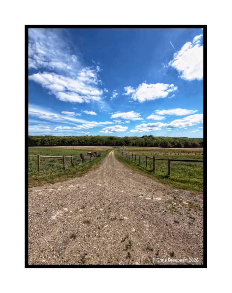 A gravel road leading through a green field under a bright blue sky with scattered clouds.
