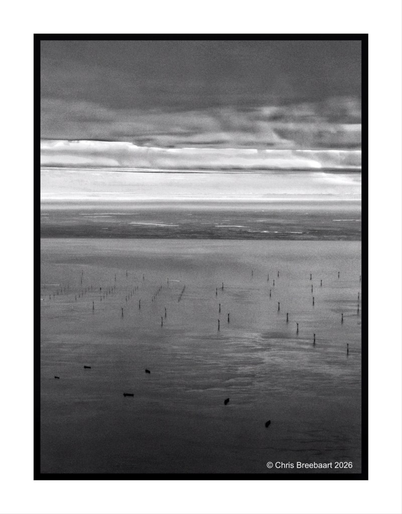 A black and white aerial view of a calm body of water with numerous wooden poles protruding from it, surrounded by a moody sky.