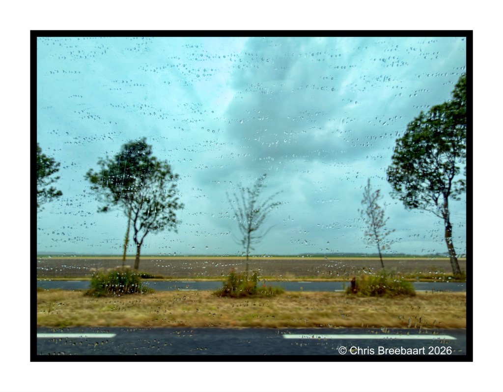 View of trees and a landscape through a rainy car window, with droplets obscuring the scene and a cloudy sky overhead.