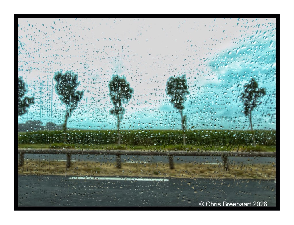 Raindrops on a window with blurred images of trees and a road in the background.