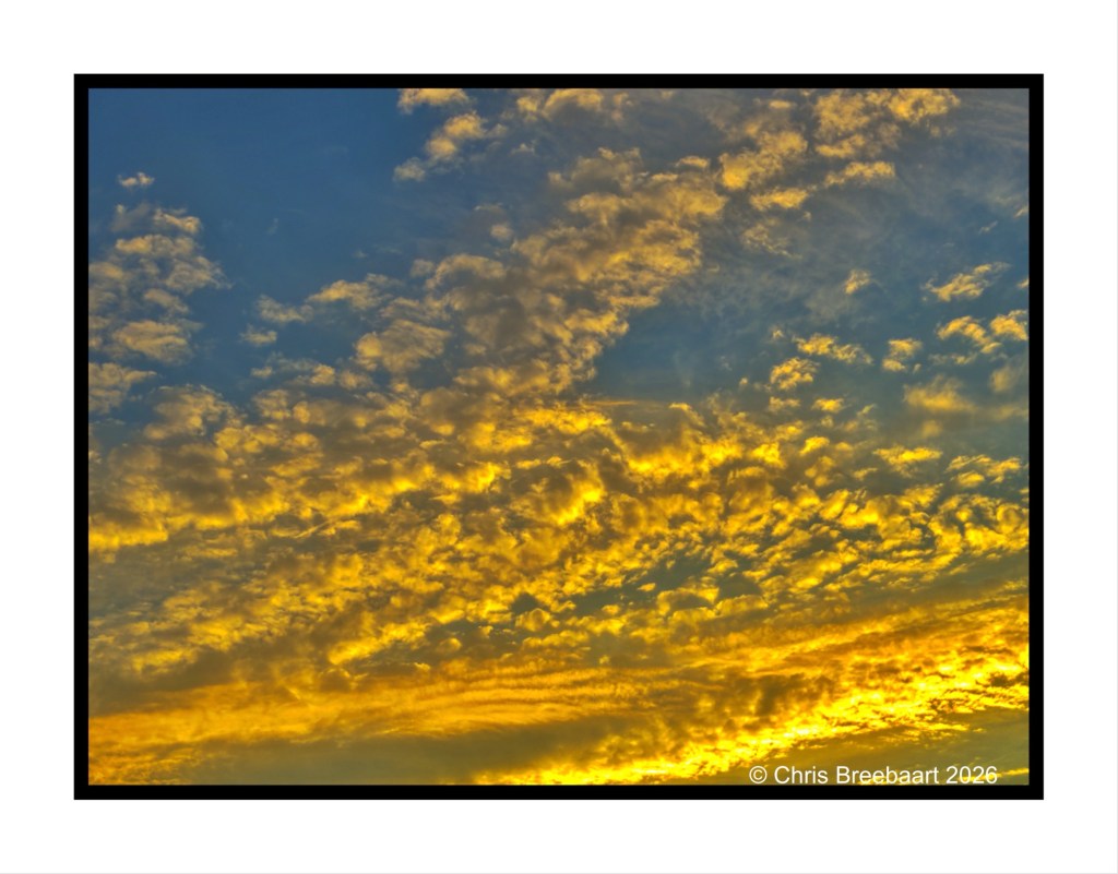 A vibrant sunset sky filled with fluffy clouds showcasing shades of yellow and blue.