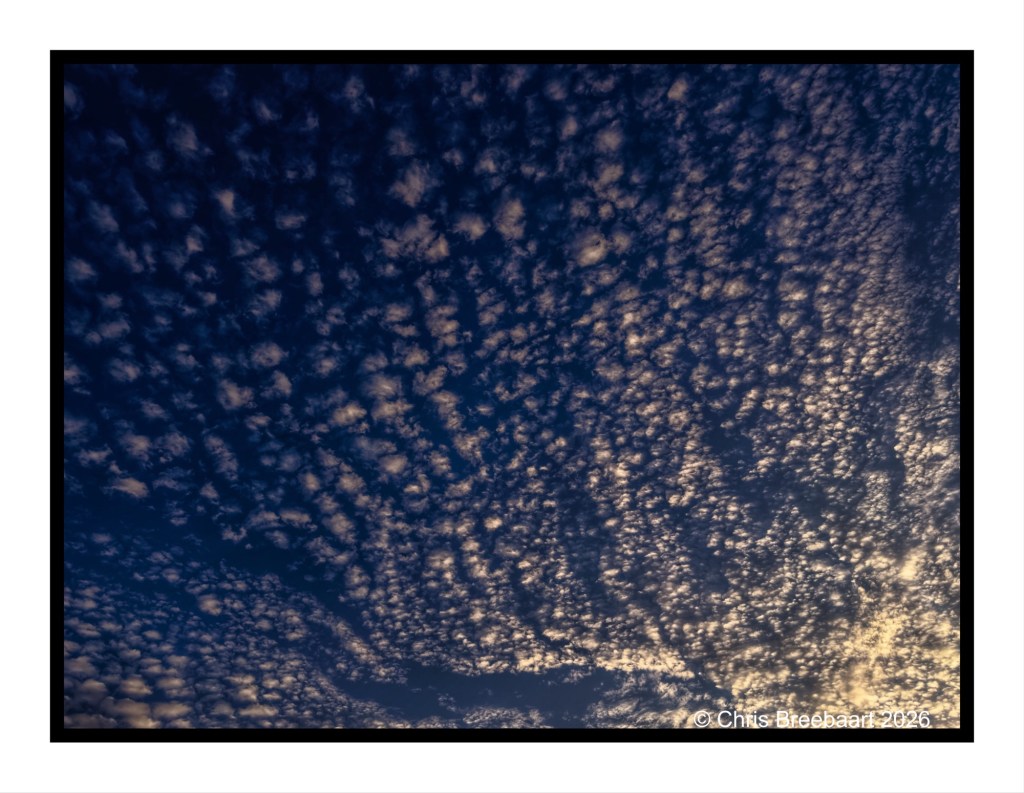A dramatic sky filled with scattered fluffy clouds against a deep blue background, illuminated by soft golden light, creating a serene and picturesque atmosphere.