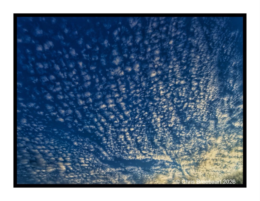 A dramatic sky filled with scattered clouds, showcasing a blend of blue and white hues.