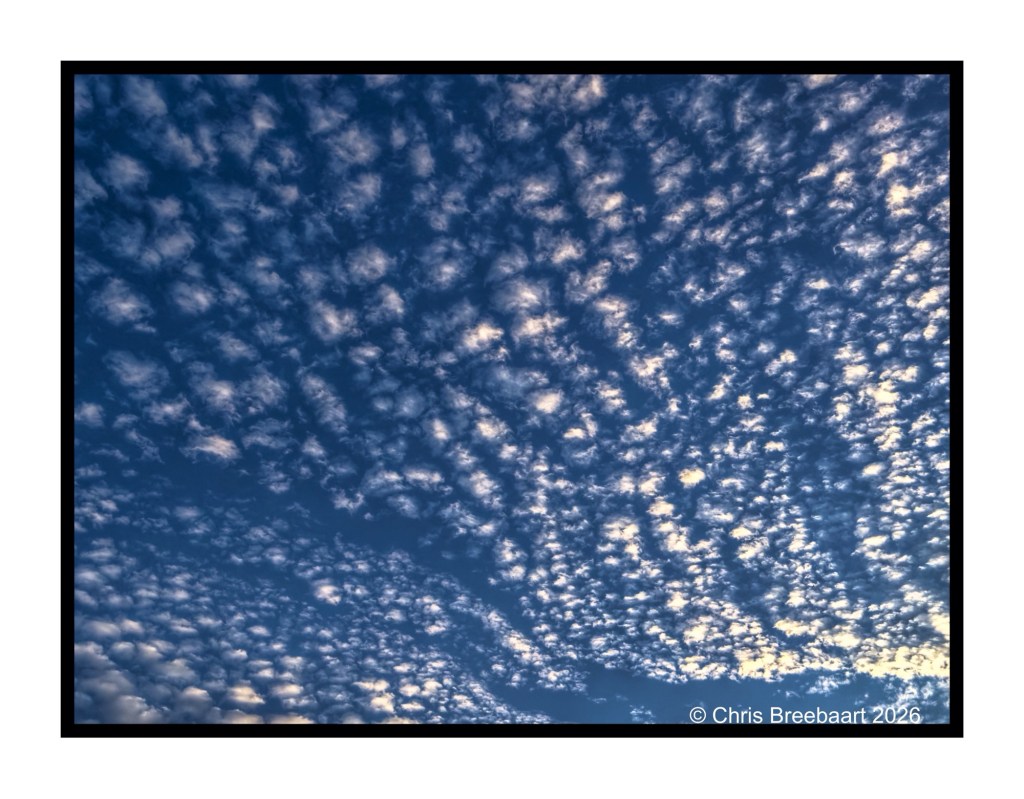 A vibrant sky filled with scattered fluffy clouds against a deep blue backdrop.