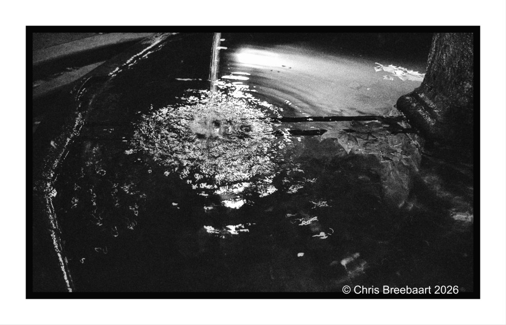 Close-up view of rippling water in a dark setting, reflecting light and surrounded by leaves, captured in black and white.