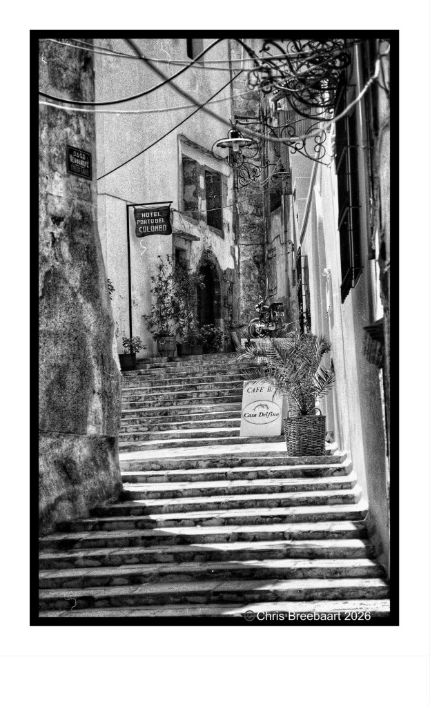 A black and white photograph of a narrow staircase in a quaint alley, featuring stone steps and potted plants, with signs for a hotel and a cafe visible.