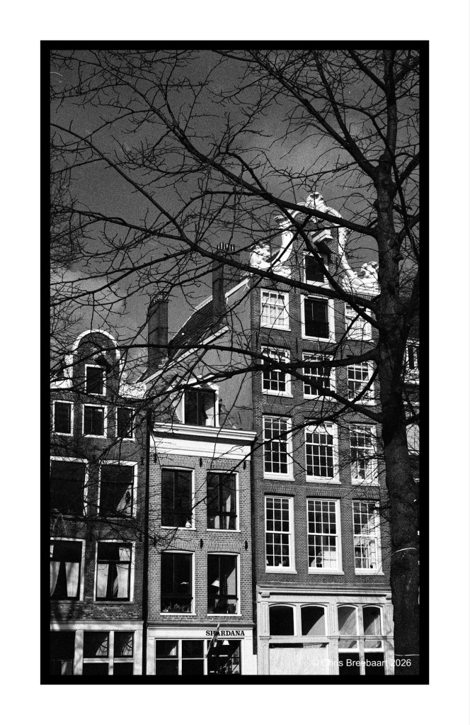 Black and white photograph of traditional Amsterdam canal houses with gabled roofs, partially obscured by bare tree branches.